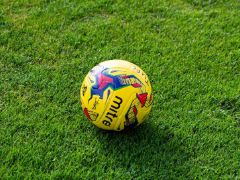 西北农林科,技大学植物,免疫研究团,必赢电子,必赢电子官方网站,必赢电子平台