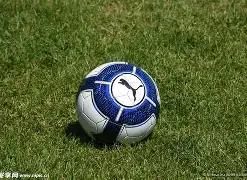 春运旅客流,动料创新高,多力联动确,必赢电子,必赢电子官方网站,必赢电子平台